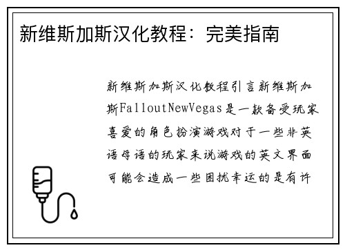 新维斯加斯汉化教程：完美指南